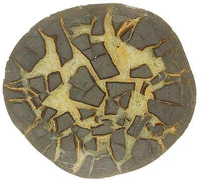 Septarie half gepolijst, Utah USA, nr. 253