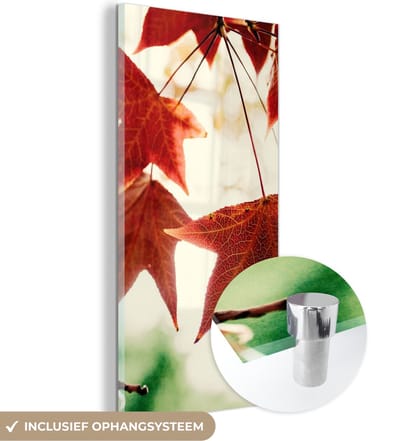 MuchoWow® Glasschilderij 20x40 cm - Schilderij acrylglas - Herfstbladeren - November - Natuur - Bomen - Foto op glas - Schilderijen