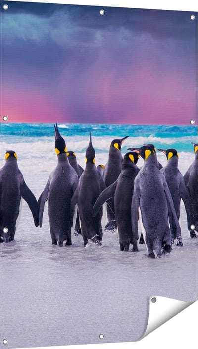 Gards Tuinposter Groep Pingu�ns bij het Water - Kudde - 80x120 cm - Tuindoek - Tuindecoratie - Wanddecoratie buiten - Tuinschilderij