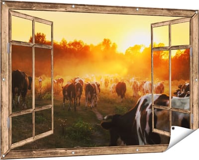 Gards Tuinposter Doorkijk Kudde Koeien in Weiland bij Zonsondergang - 150x100 cm - Tuindoek - Tuindecoratie - Wanddecoratie buiten - Tuinschilderij