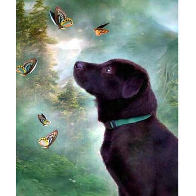 Peinture diamant thème papillon Womlabrador Retriever, broderie complète 5D, point de croix, à faire soi-même 20X30CM black