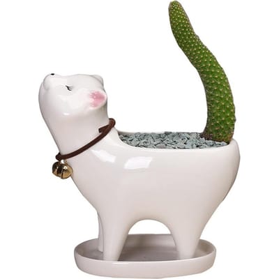 Pots à Succulentes en Céramique pour Chatons avec Trou de Drainage Mini Pots pour Plantes Contenants pour Plantes Cactus blanc