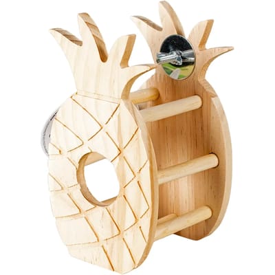 Duvo+ Houten ananas hooiruif voor konijnen en knaagdieren