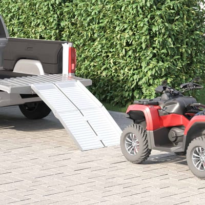 vidaXL Oprit voor rolstoel 270 kg Zilver 270 kg Aluminium