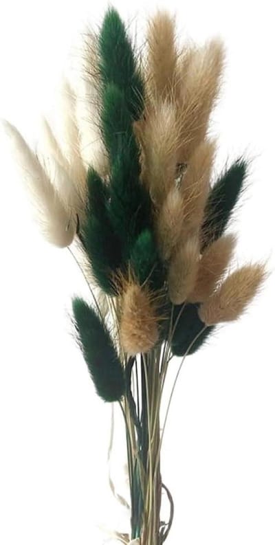 Gedroogd Pampasgras - Droogbloemen Boeket - Decoratie Huis - Natuurlijke Uitstraling - 50 Stuks - Kakigroen-Wit