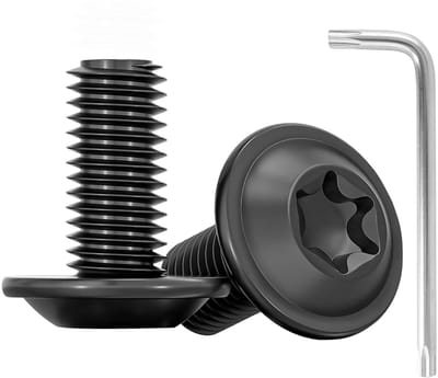 Set van 20 RVS M6 x 16 Schroeven met Lenskop, Torx en Platte Kop, Volle Draad en Flens met Torx Sleutel