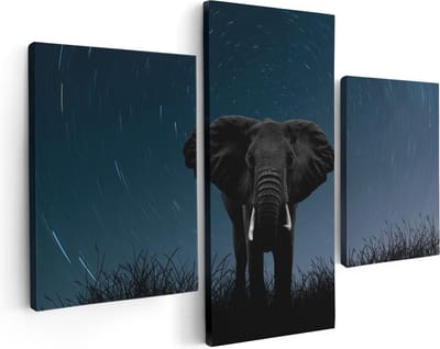 Artaza Canvas Schilderij Drieluik Olifant Omringd Met Sterren  - 90x60 - Foto Op Canvas - Canvas Print
