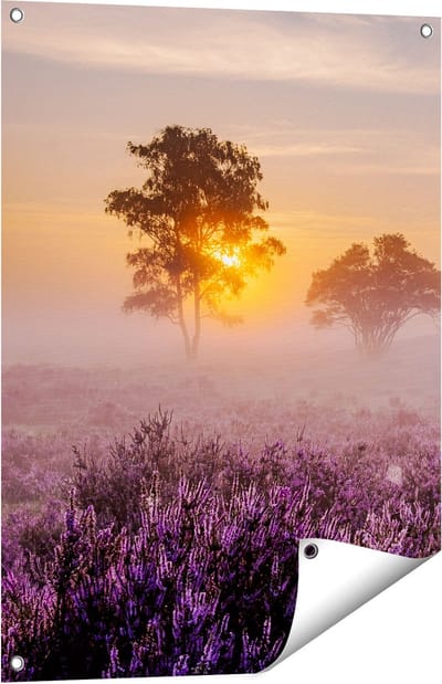 Gards Tuinposter Weide in de Veluwe bij Zonsondergang - 60x80 cm - Tuindoek - Tuindecoratie - Wanddecoratie buiten - Tuinschilderij