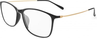 Nordic Vision NPSB Sala computerbril / beeldschermbril +0.00 zwart met goudkleurige temples