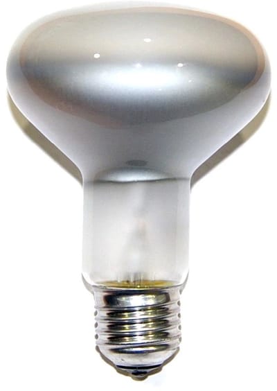 Philips Spotline Reflector R95 100W E27 230V Mat
