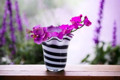 Bloemenvaas Zebra met paarse Binnenkant Mondgeblazen Glas 20 x 19 cm