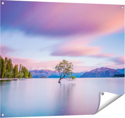 Gards Tuinposter Wanaka Boom in het Water bij Zonsopgang - 100x80 cm - Tuindoek - Tuindecoratie - Wanddecoratie buiten - Tuinschilderij