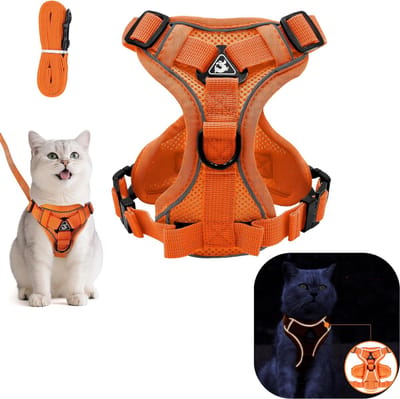 CRLYN® Kattentuigje met Looplijn - Kattentuigje - Kattenharnas - Oranje