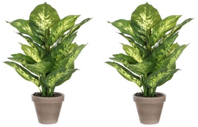 Mica Decorations Kunstplant Dieffenbachia - 2x - groen - 40 cm - in pot - nepplant - kamerplant