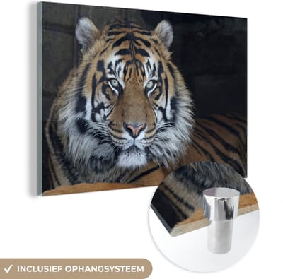 MuchoWow® Glasschilderij 60x40 cm - Schilderij acrylglas - Tijger - Grot - Natuur - Foto op glas - Schilderijen
