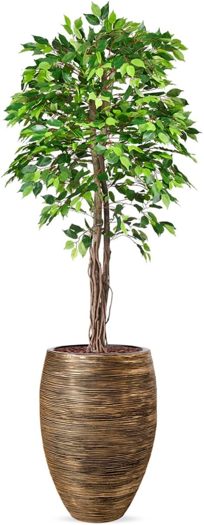 Kunstplant Ficus groen in vaas elegant Rib zwartgoud H230 cm