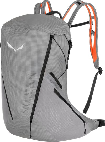 SALEWA Wandelrugzak Rugzak Pedroc Pro 22L M Alloy Grijs