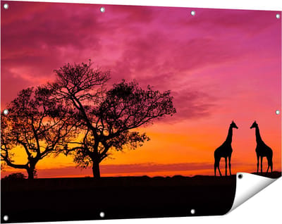 Gards Tuinposter Twee Giraffe Silhouetten bij Zonsondergang - 120x80 cm - Tuindoek - Tuindecoratie - Wanddecoratie buiten - Tuinschilderij