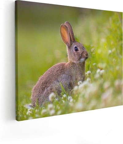Artaza Canvas Schilderij Konijn In Het Gras - 50x40 cm - Wanddecoratie Bos - Muurdecoratie Dieren - Kamer Accessoires Natuur