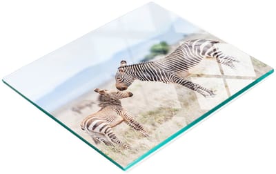 Decoratieve glazen snij- en serveerplank voor in de keuken, zebra- en bergmotief, 60x52 cm