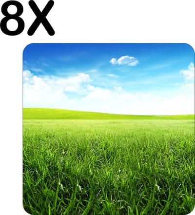 Luxe Placemat - Groen Gras met de Perfecte Blauwe Lucht - Set van 8 Placemats - 50x50 cm - 2 mm dik Vinyl - Anti Slip - Afneembaar