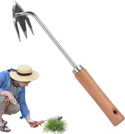 Onkruidverwijderaar Gereedschap - Hand Gras Graver - Tuin Onderhoud - Drietand Ontwerp - 37 cm Lengte - Zilver