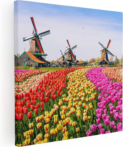 Artaza Canvas Schilderij Tulpenveld - 80x80 cm - Wanddecoratie Molen - Muurdecoratie Holland - Schilderijen Op Canvas Bloemen