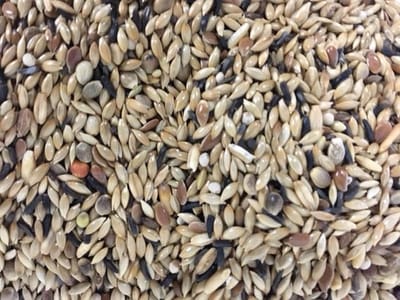 Garvo kanarie zonder raap 5371 - 1kg