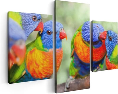 Artaza Canvas Schilderij Drieluik Vier Regenboog Lori Vogels Op Een Tak - 90x60 - Foto Op Canvas - Canvas Print