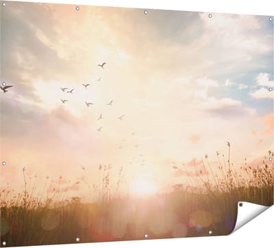 Gards Tuinposter Silhouet Vogels tijdens Zonsopkomst - 160x120 cm - Tuindoek - Tuindecoratie - Wanddecoratie buiten - Tuinschilderij