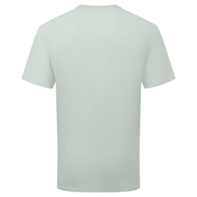 Fruit of the Loom Unisex Volwassenen 100% Katoenen T-shirt (Sage)