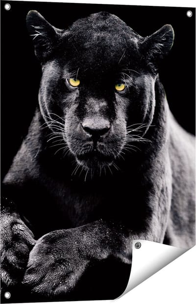 Gards Tuinposter Zwarte Panter - 60x80 cm - Tuindoek - Tuindecoratie - Wanddecoratie buiten - Tuinschilderij