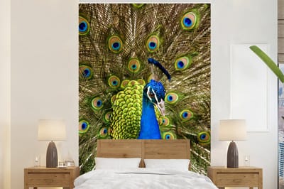 Behang - Fotobehang Pauw - Veren - Snavel - Breedte 145 cm x hoogte 220 cm