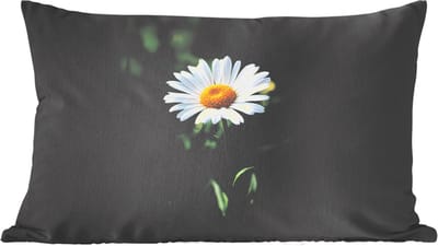 Sierkussens - Kussentjes Woonkamer - 60x40 cm - Wit - Madeliefje - Bloem - Gras