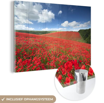 ® Glasschilderij 180x120 cm - Schilderij acrylglas - Veld van klaprozen in het Nationaal park South Downs in Engeland - Foto op glas - Muurdecoratie woonkamer - Wanddecoratie slaapkamer - Schilderijen