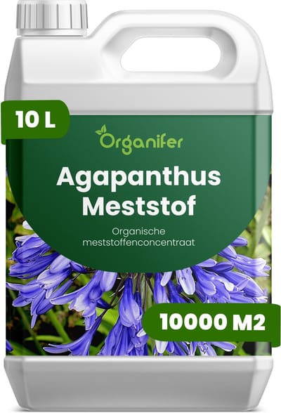 Vloeibare Meststof Voor Agapanthus - 10 L Voor 10000 M2 - Npk 2-1-8 - Voor Levendige Bloemschermen - Knopvorming - Rechtopstaande Bloemstelen - Kkrachtige Wortelontwikkeling - Hittebestendig - Bodemleven - Organifer