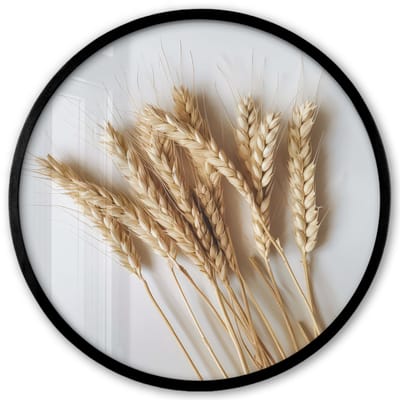Poster in lijst Rond - Fotolijst 40x40 cm - Posters - Graan - Geel - Wit - Stilleven - Ronde posterlijst zwart - Decoratie - Wanddecoratie woonkamer - Muurdecoratie slaapkamer