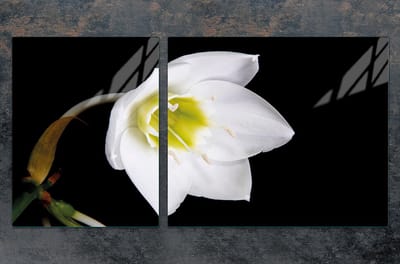 TMK ArtDeko Serie - Snijplank van Gehard Glas - 100x52 cm - Motief Orchidee