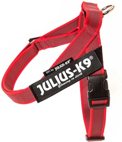 Julius-K9 IDC®Color&Gray® riemtuig, L - maat 1, rood