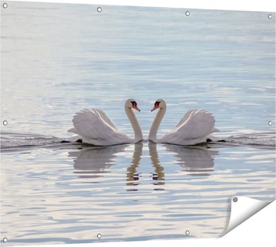 Gards Tuinposter Zwanen Koppel op het Water - 120x90 cm - Tuindoek - Tuindecoratie - Wanddecoratie buiten - Tuinschilderij