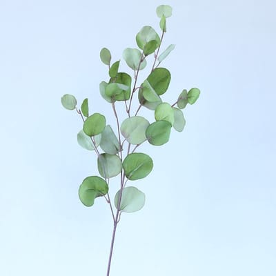 Eucalyptus tak - groot - groen - zijden bloemen - 3 stelen - onderhoudsvrij - 87 cm - kunstbloemen