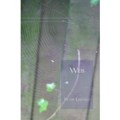Web - Peter Lintelo