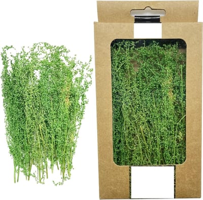 Miniatuur Struiken voor Model Spoorweg Landschappen - Lange Groene Vegetatie Tuft voor DIY Projecten en Modelbouw