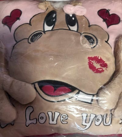 Kussen - I Love You - Koe