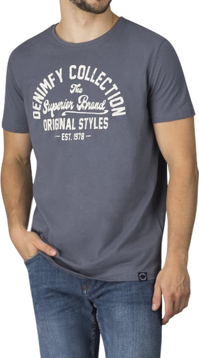 DENIMFY Heren T-Shirt DFNuri regular fit Blauw S Ronde Hals Volwassenen t shirt heren met print
