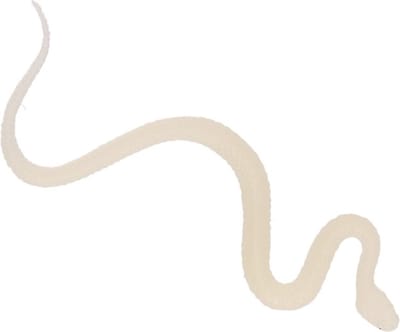 Plastic slangen – 15 cm – Reptielen – Glow in the dark – Decoratie – Dieren