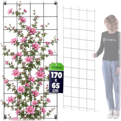 KADAX Trellis, klimhulp van staal, wandrooster voor planten, tuin, balkon, terras, draadrooster, klimhulp, plantenrooster, wandbevestiging, zwart (65 x 170 cm)
