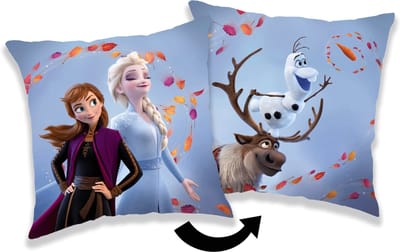 Disney Frozen Sierkussen Wind - 40 x 40 cm - Polyester