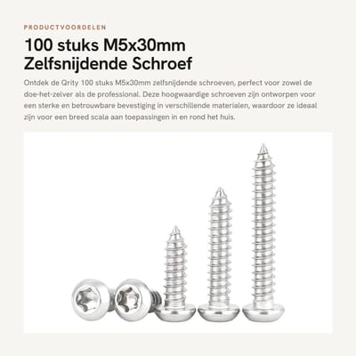 Dailygoods- Zelfsnijdende Schroef 100 Stuks - Torx Platkopschroeven - Roestvrij Staal - Goede Houdkracht - Diep Schroefdraadontwerp - Breed Toepassingsgebied