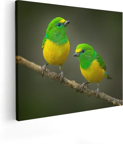 Artaza Canvas Schilderij Vogels - 100x80 cm - Groot - Wanddecoratie Vogels Op Tak - Muurdecoratie Dieren - Schilderijen Op Canvas